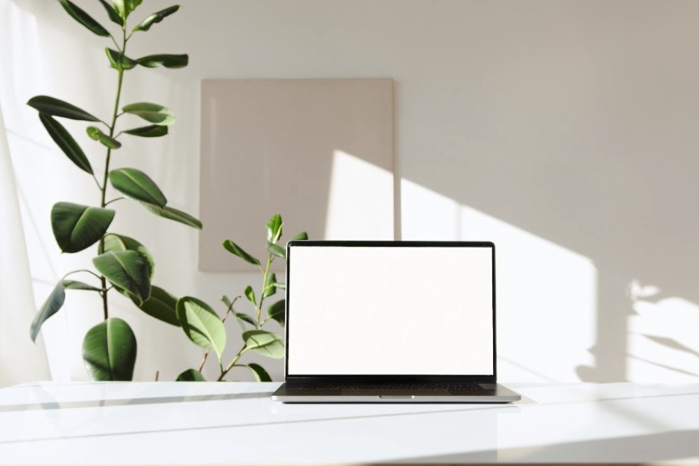 Прямые иностранные инвестиции для инновационных проектов и бизнеса Прямые иностранные инвестиции для инновационных проектов и бизнеса