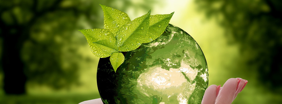 Waste recycling plant: design and construction, maintenance and financing Waste recycling plant: design and construction, maintenance and financing