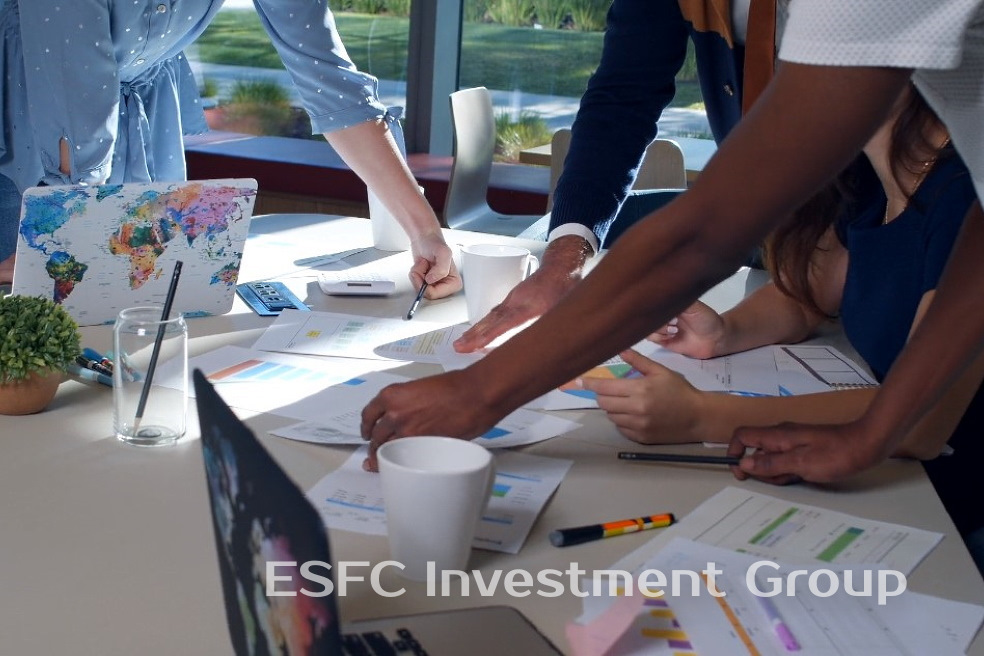 Professional financial and engineering services for large projects Professional financial and engineering services for large projects