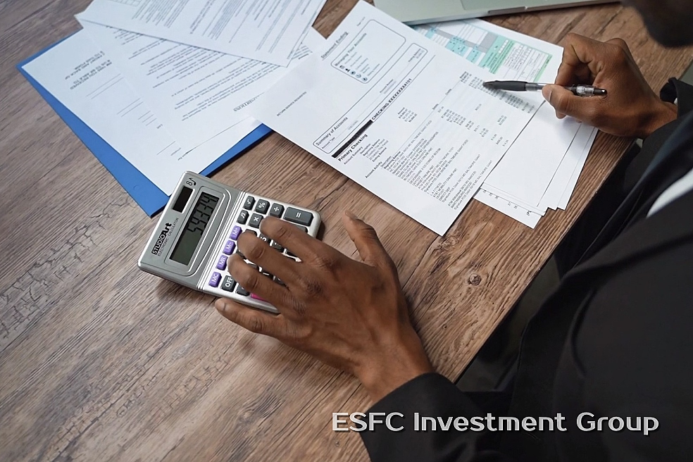 Types of audits in the investment process